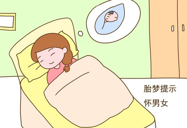 怀孕梦到蛇预示着什么生男生女